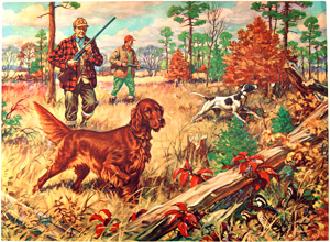 watson irish setter game bird hunting